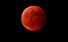 eclipse-lunar-total-1024×543