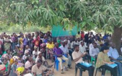 Diálogo Nacional Inclusivo (DNI): A Sombra das Árvores como Espaço de Reflexão IMG-20251108-WA0044