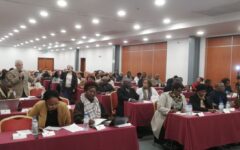 Diáspora Moçambicana satisfeita com o modelo de diálogo em curso no país DIASPORA2